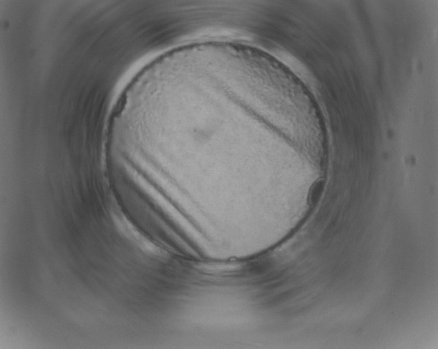 X0000067851296200604271635