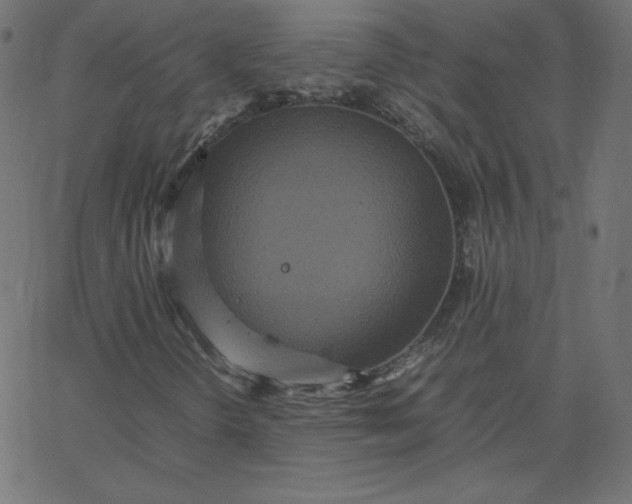 X0000067851298200604271635