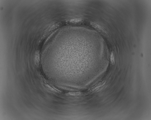 X0000067851299200604271635