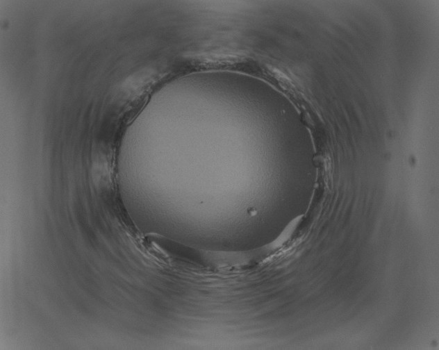 X0000067851300200604271635