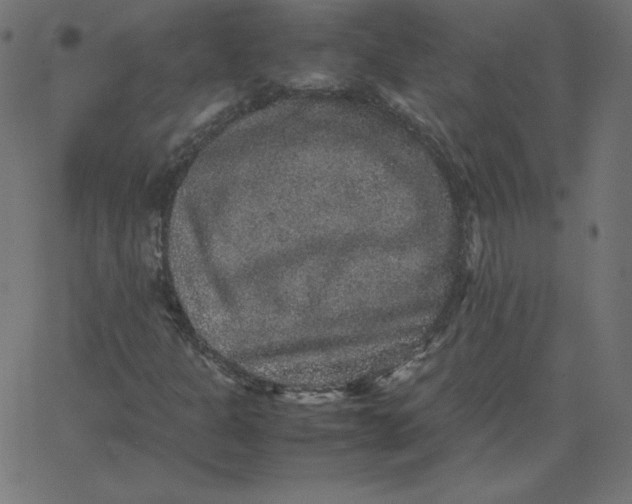 X0000067851301200604271635