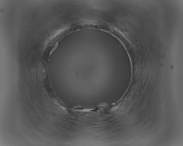 X0000067851303200604271635