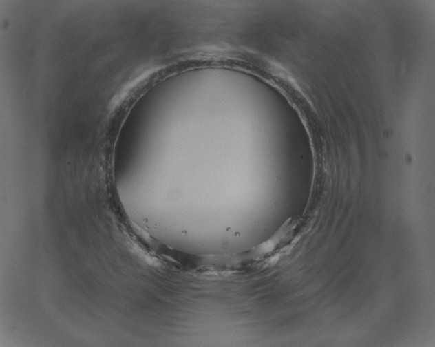 X0000067851304200604271635