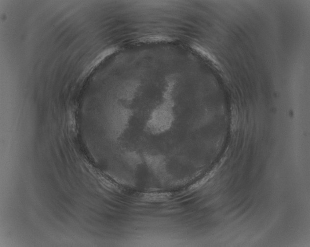 X0000067851305200604271635