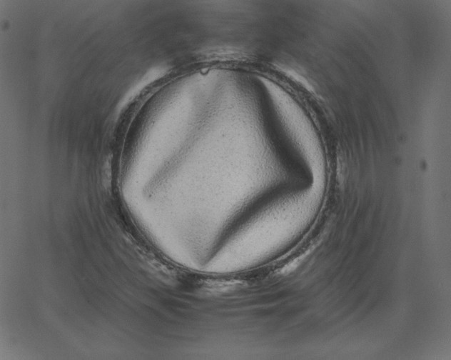 X0000067851309200604271635