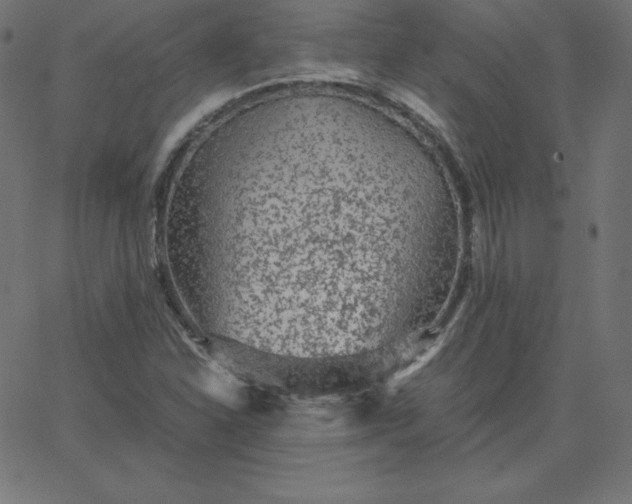 X0000067851310200604271635