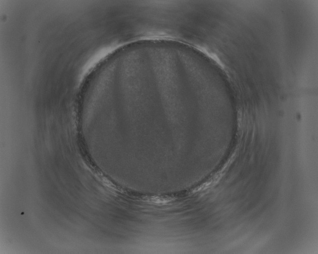 X0000067851311200604271635