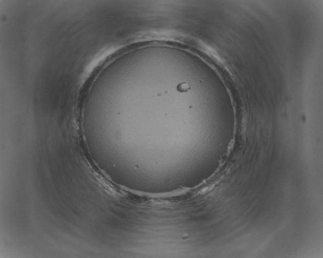 X0000067851312200604271635