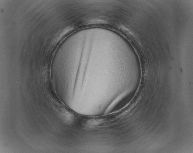 X0000067851313200604271635