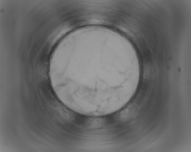 X0000067851314200604271635