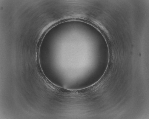 X0000067851316200604271635