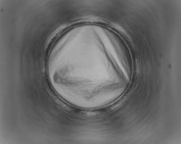 X0000067851318200604271635