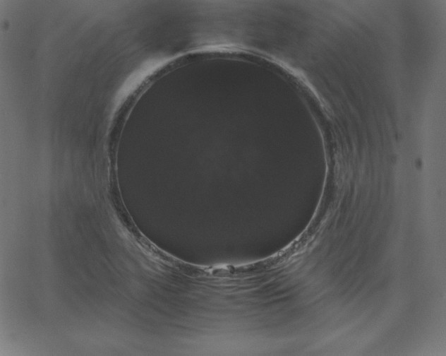 X0000067851319200604271635