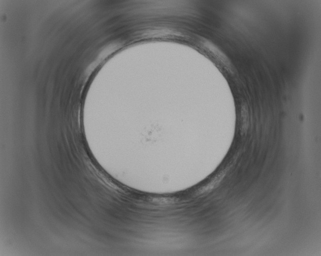 X0000067851322200604271635