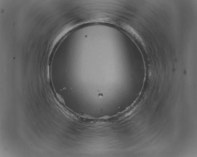 X0000067851324200604271635