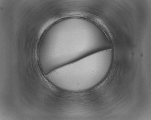 X0000067851328200604271635