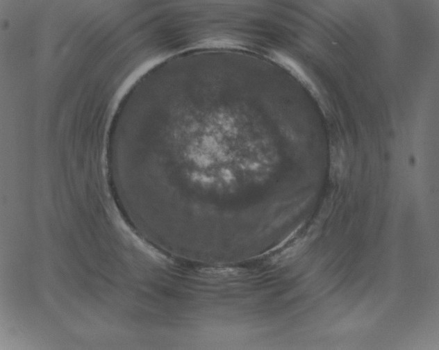 X0000067851331200604271635