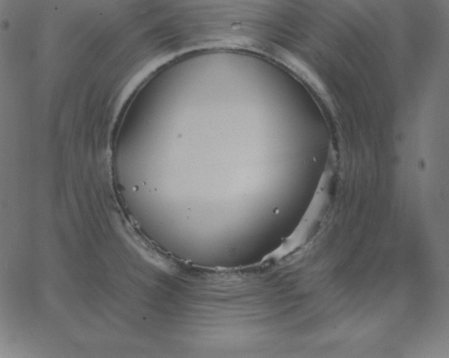 X0000067851332200604271635