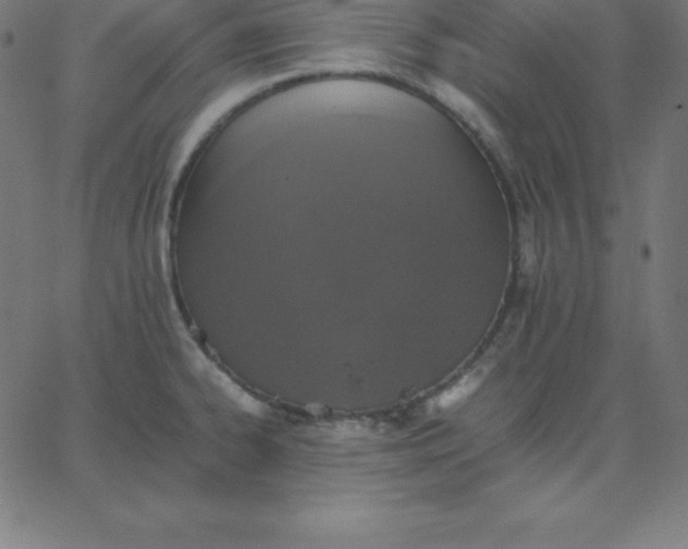 X0000067851334200604271635