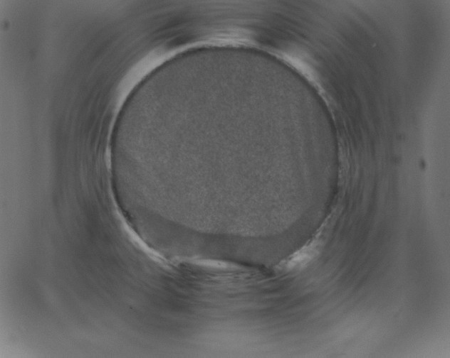 X0000067851335200604271635