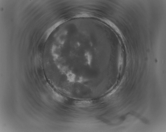 X0000067851337200604271635