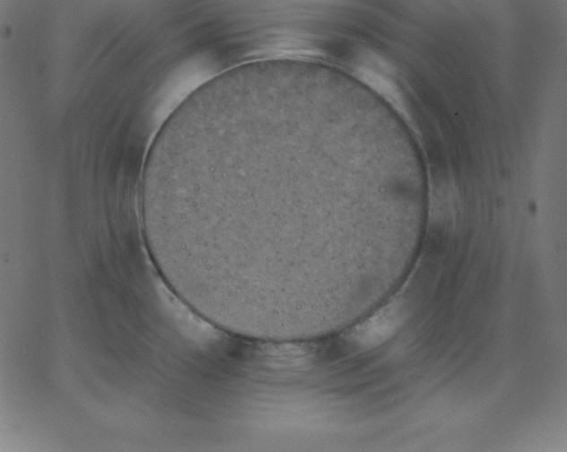 X0000067851338200604271635