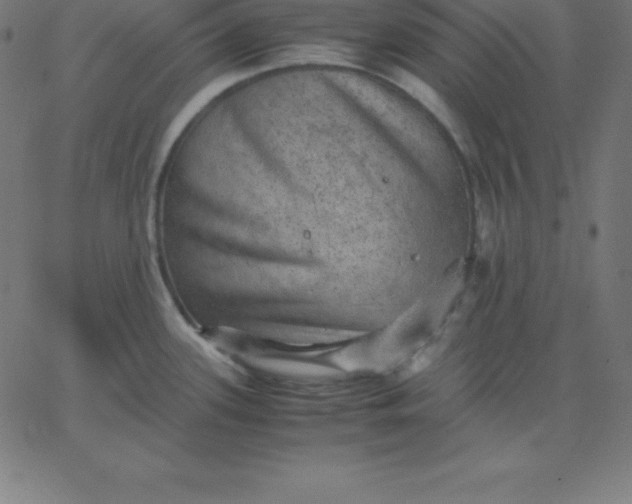 X0000067851339200604271635