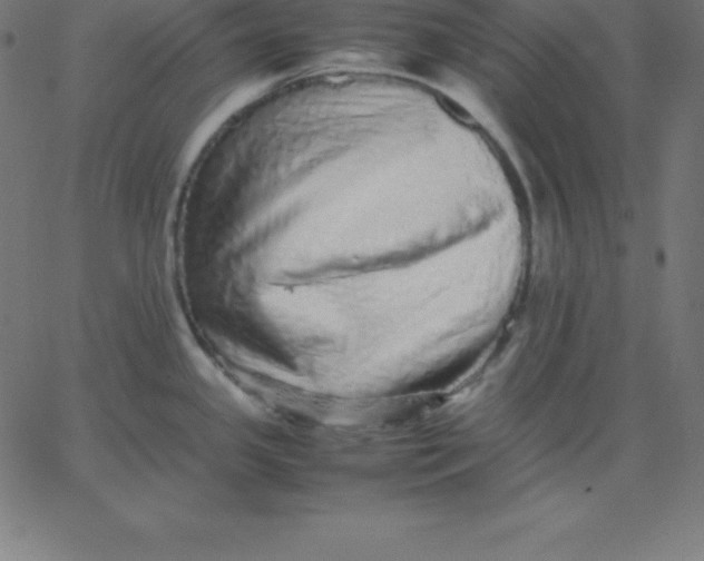 X0000067851341200604271635