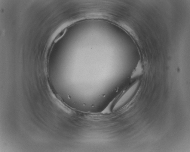 X0000067851342200604271635