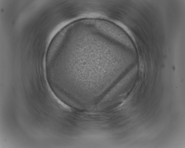 X0000067851343200604271635