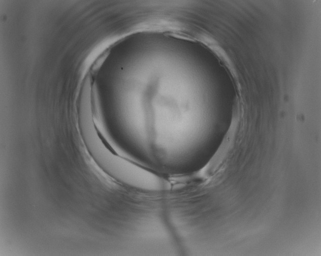 X0000067851344200604271635