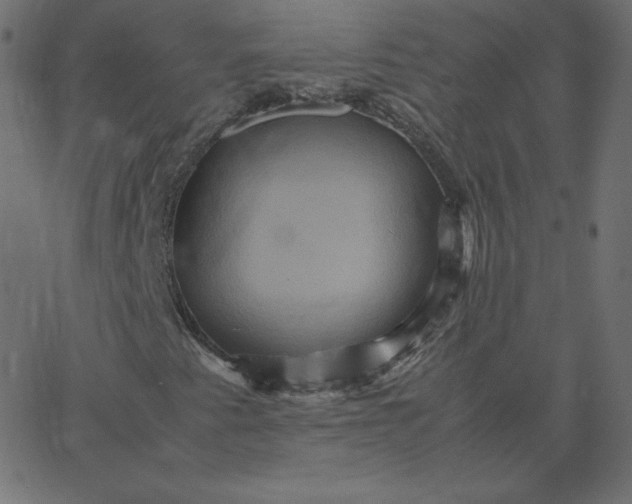 X0000067851345200604271635