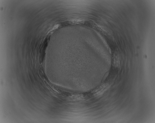 X0000067851346200604271634