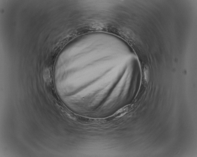 X0000067851347200604271634