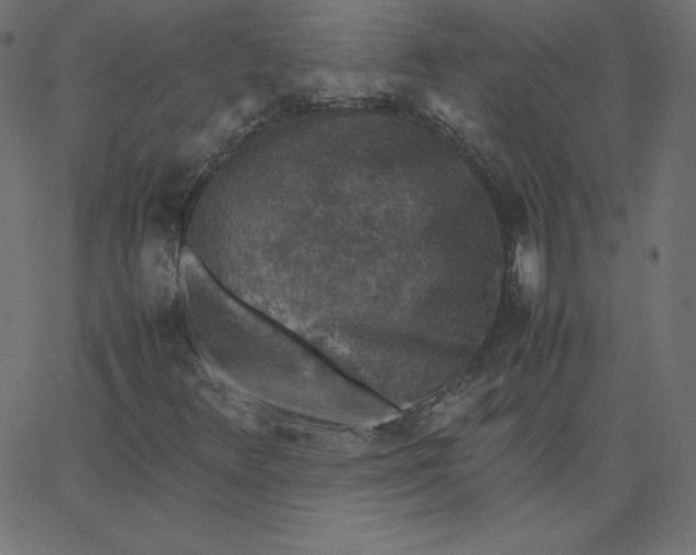 X0000067851348200604271634