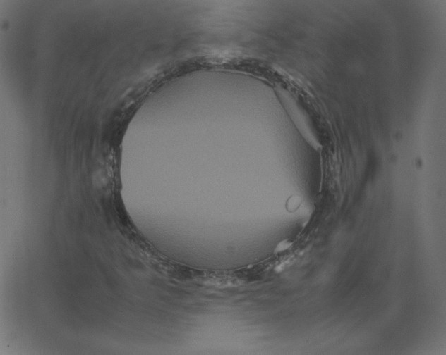 X0000067851349200604271634