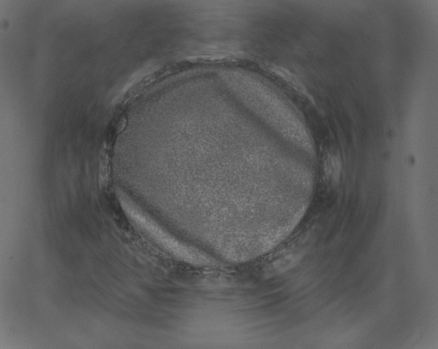 X0000067851350200604271634