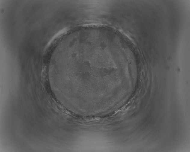 X0000067851351200604271634