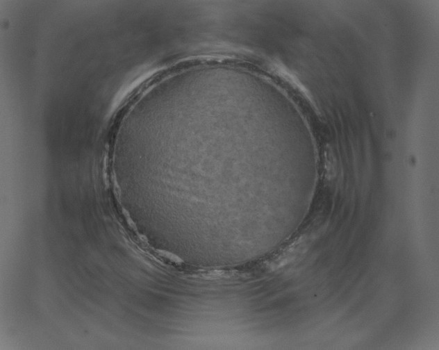 X0000067851352200604271634