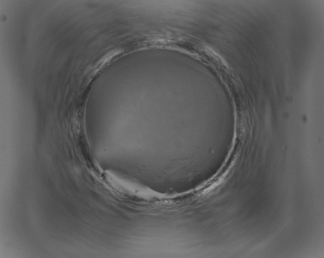 X0000067851353200604271634