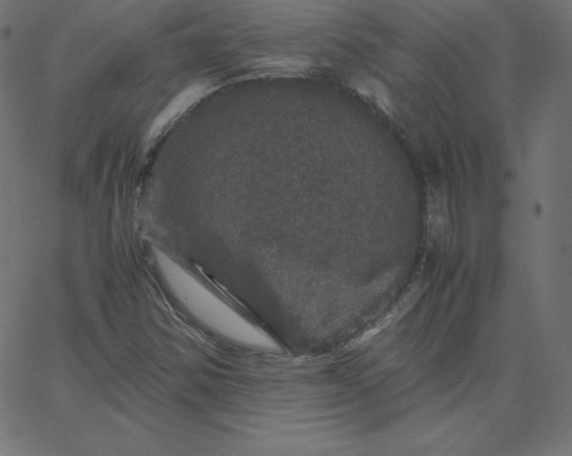 X0000067851354200604271634