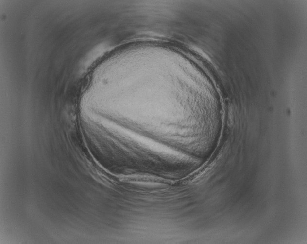 X0000067851355200604271634