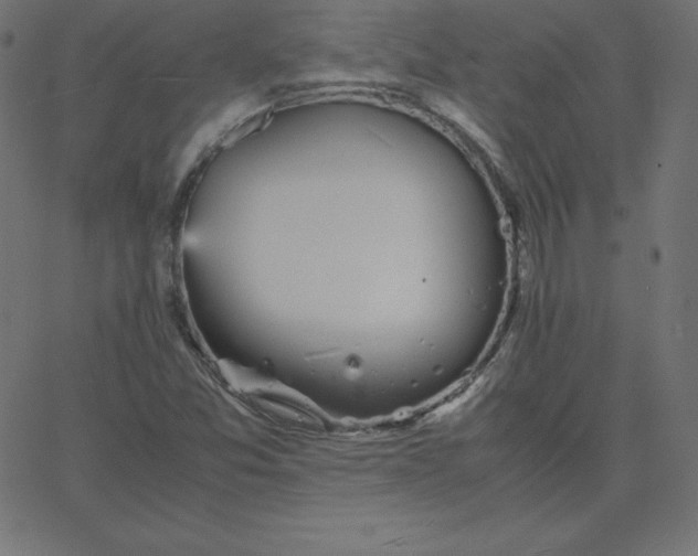 X0000067851357200604271634