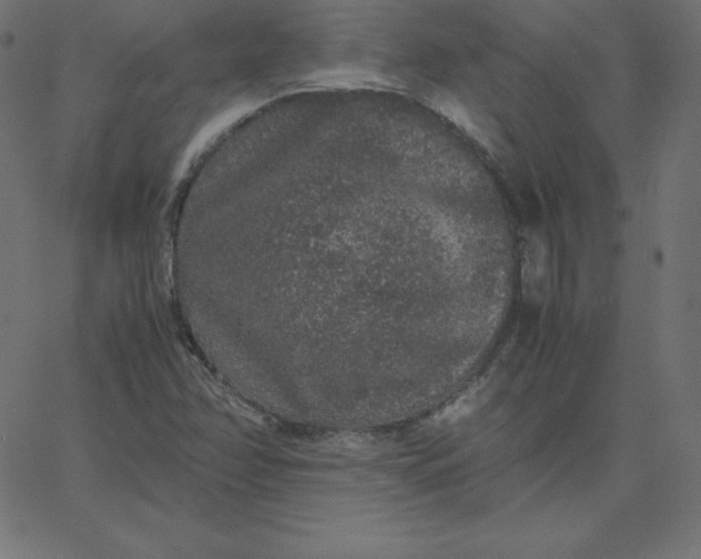 X0000067851358200604271634