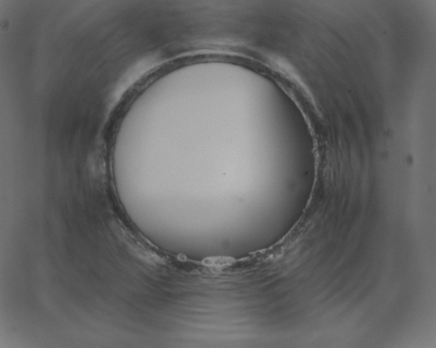 X0000067851360200604271634