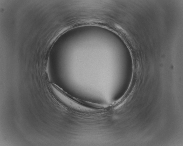 X0000067851361200604271634