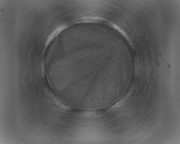 X0000067851362200604271634