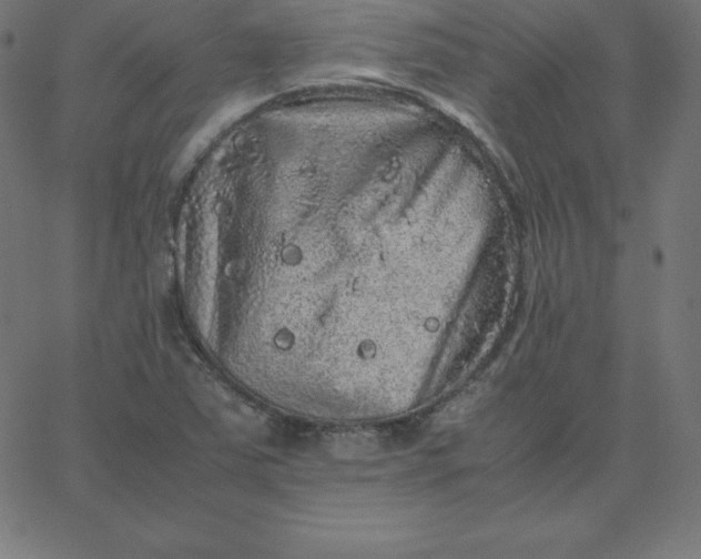 X0000067851363200604271634