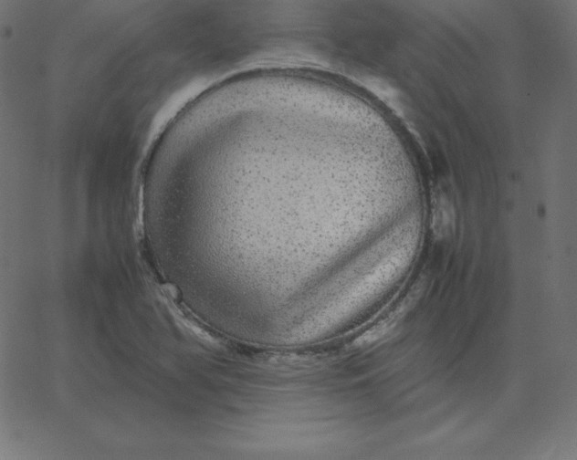 X0000067851366200604271634