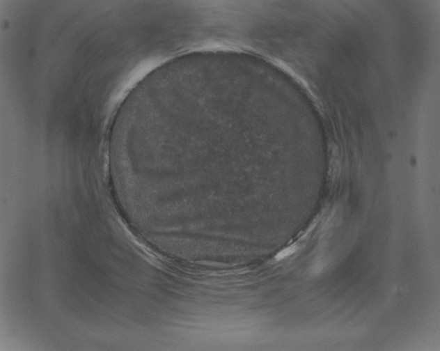 X0000067851367200604271634